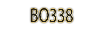 Logo BO338